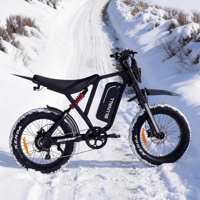 Electric Bike — 20-inch fat tyres, 25 km/h | EplusNINE